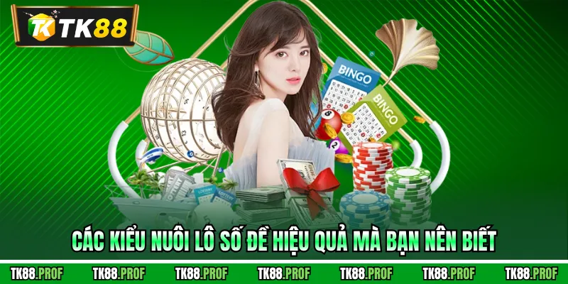 Các kiểu nuôi lô số đề hiệu quả mà bạn nên biết